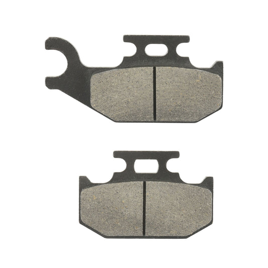 Pastillas de frenos traseras Raptor 700
